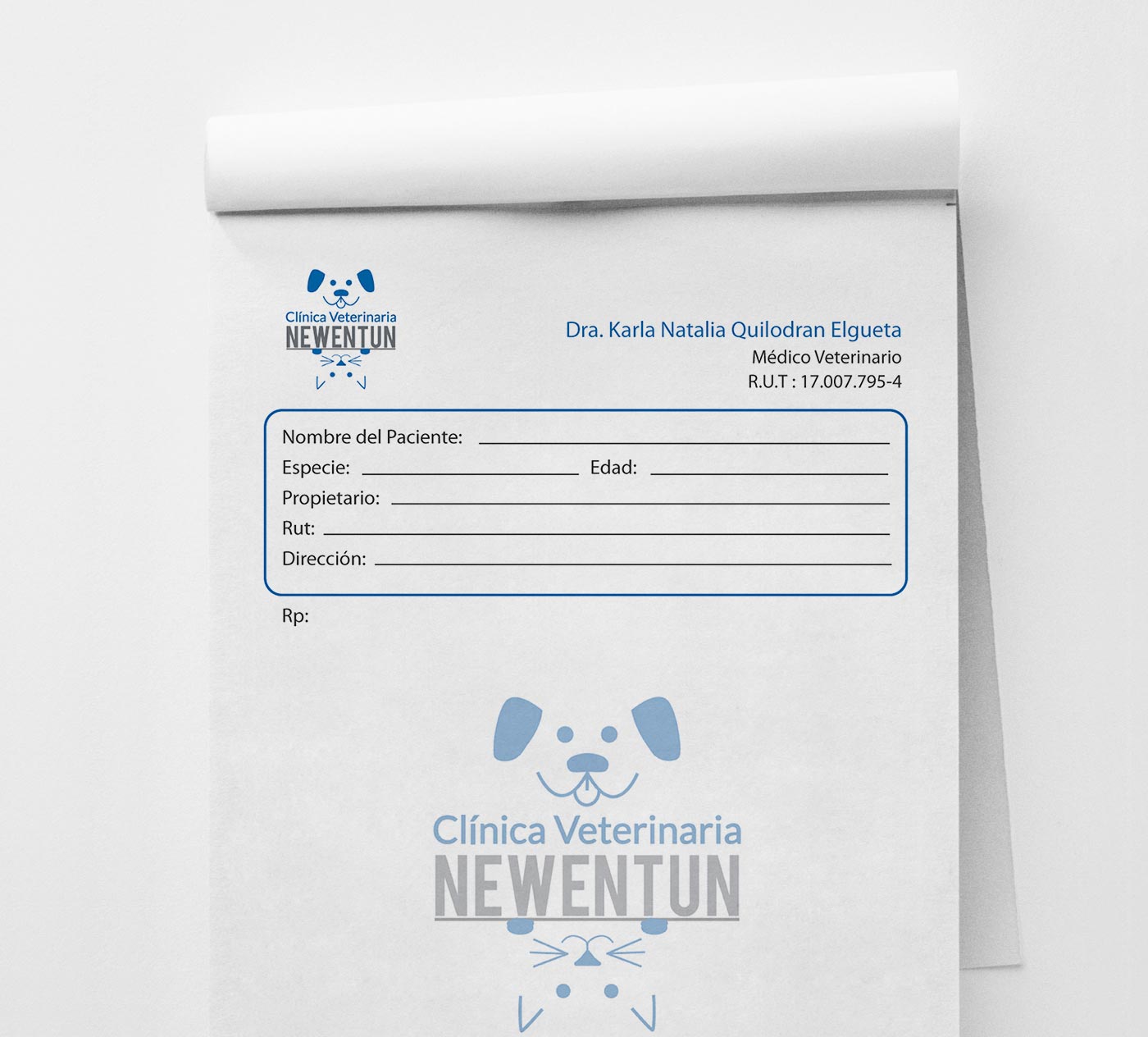 Recetarios veterinarios personalizados disponibles para comprar online